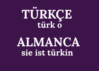 kendi asanı bul